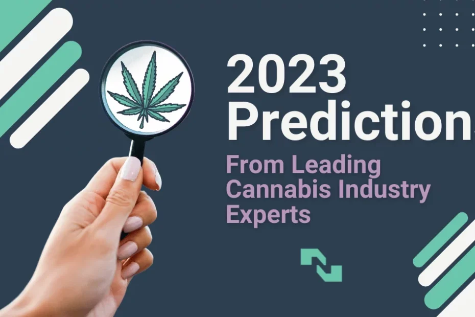 A hand holding a magnifying glass has a cannabis leaf in the lens. The text, 2023 Predictions From Leading Cannabis Industry Experts is to the right.