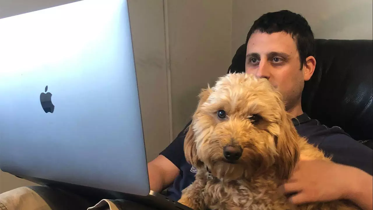 Evan Nison works from home with pup Landon and a laptop both across his legs