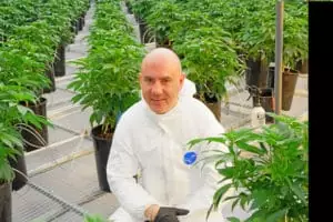 cannabis grower Mike Sassano with plants