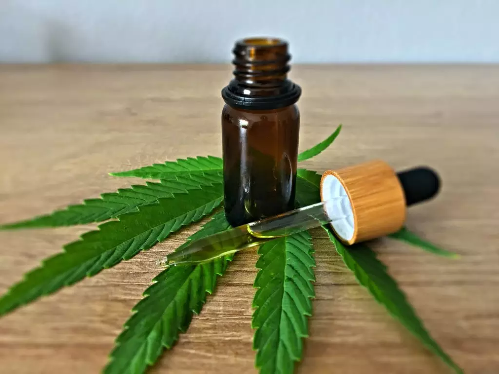 SEO for CBD Companies: 5 Keyword and Strategy Basics