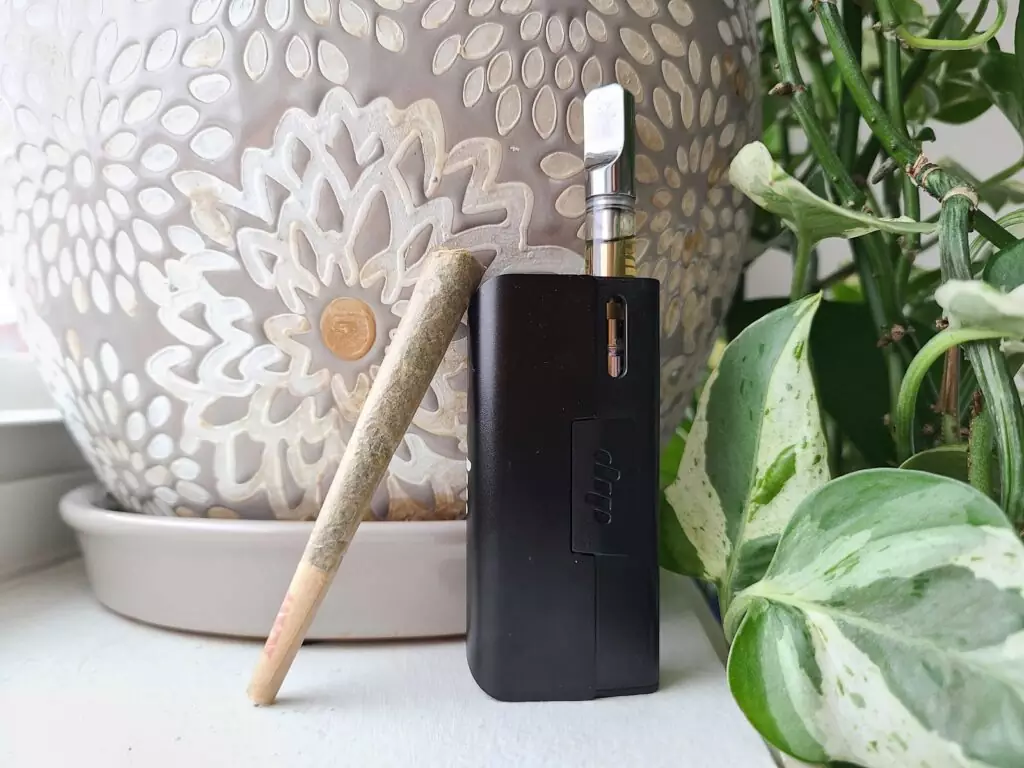 Photo by NisonCo Pitcher Kelly Ebbert featuring the EVRI by Dip Devices and pre-rolled RAW cones via Daily High Club.