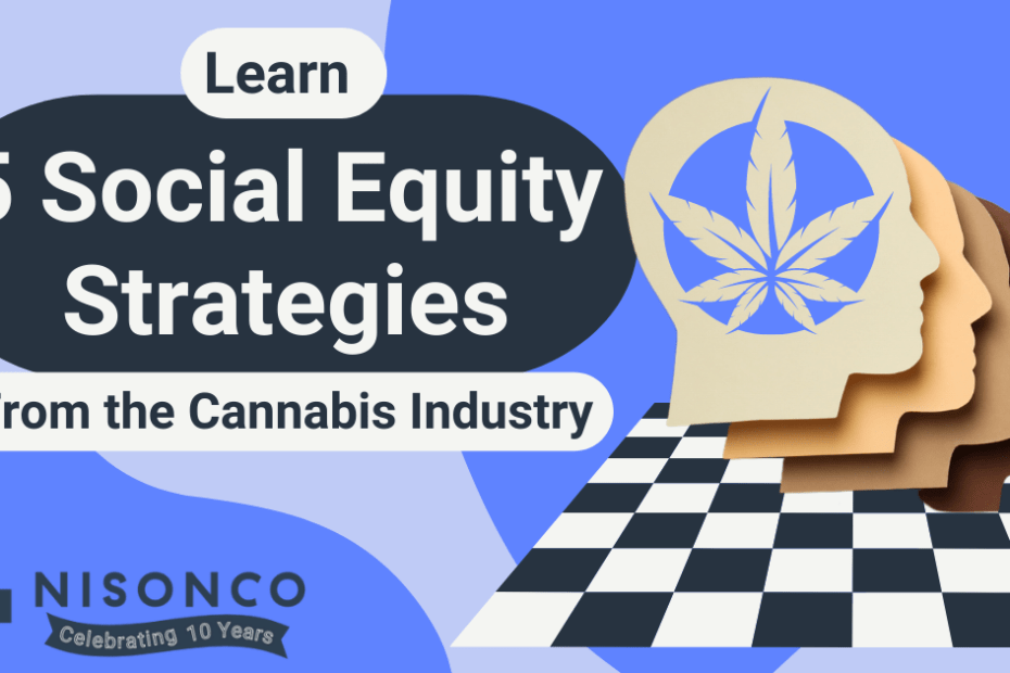 The text, 'Learn 5 social equity strategies from the cannabis industry' appears to the left of a graphic design illustrating a cannabis leaf superimposed over 4 conceptual heads in different skin tones. The heads are displayed above a chess board.