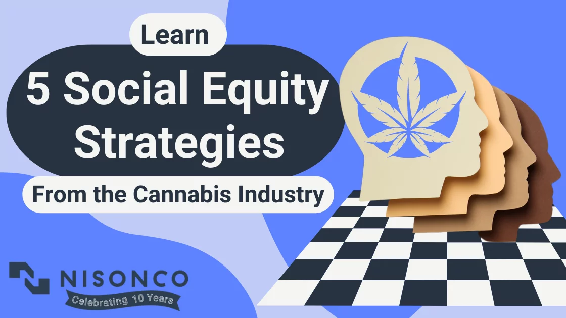 The text, 'Learn 5 social equity strategies from the cannabis industry' appears to the left of a graphic design illustrating a cannabis leaf superimposed over 4 conceptual heads in different skin tones. The heads are displayed above a chess board.