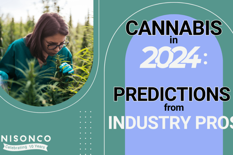 The text, 'Cannabis in 2024: Predictions from Industry Pros' is on the right side. To the left is a picture of a woman with glasses and rubber gloves on examining a cannabis plant.