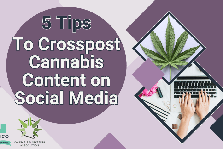 The text, '5 Tips to Crosspost Cannabis Content on Social Media' is to the left of an image of a person typing on a laptop and a cannabis leaf within a diamond pattern.