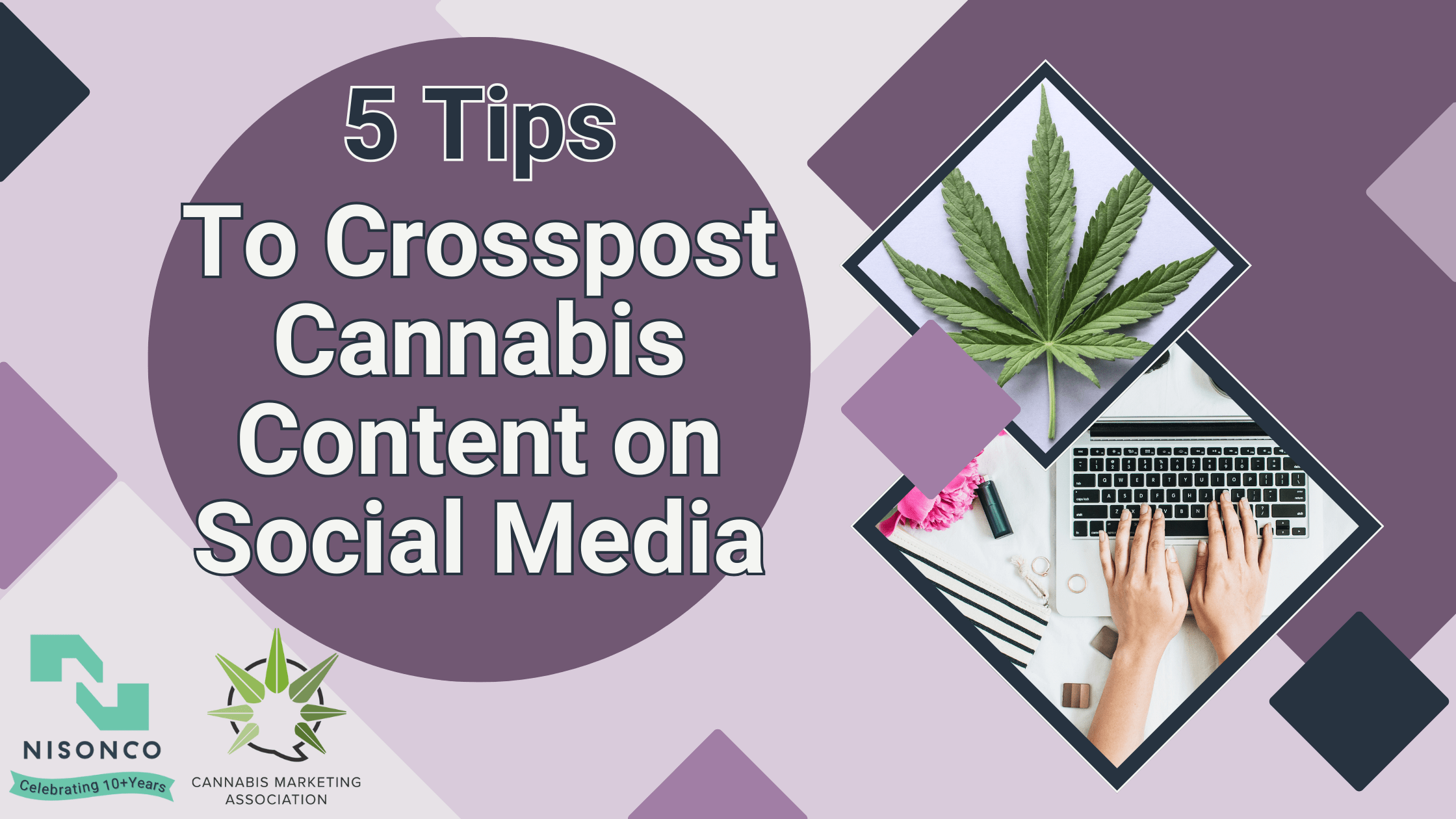 The text, '5 Tips to Crosspost Cannabis Content on Social Media' is to the left of an image of a person typing on a laptop and a cannabis leaf within a diamond pattern.