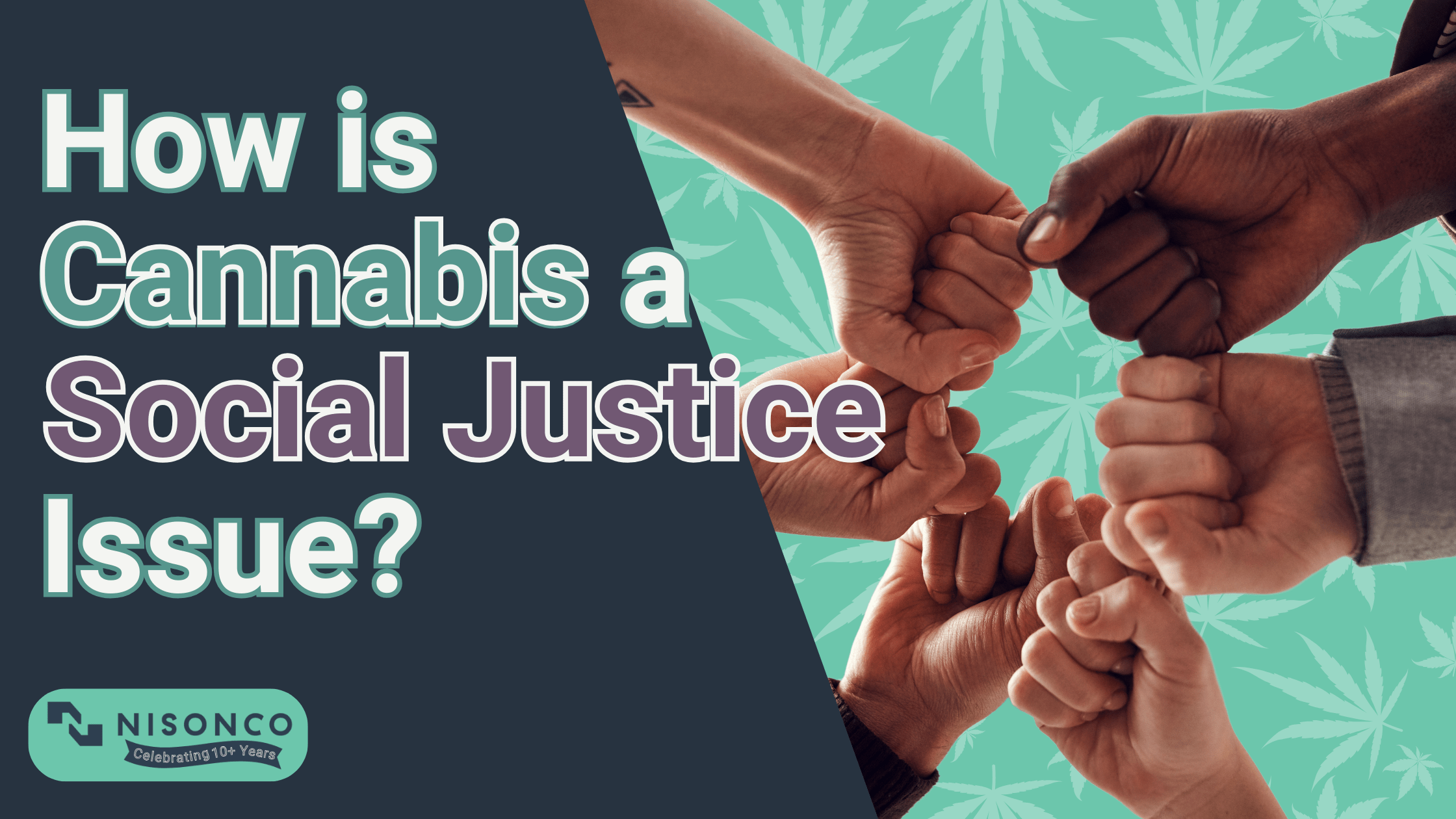 The text "how is cannabis a social justice issue?" next to an image of people putting their hands together in a show of solidarity against a background of illustrated cannabis leaves.